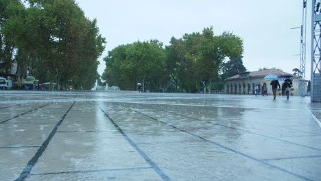 rainy-day-on-pavement-Montpellier-place-de-la-comedie-trees-in-background-France